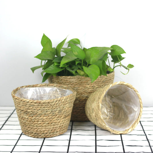 Woven Grass Planter Basket